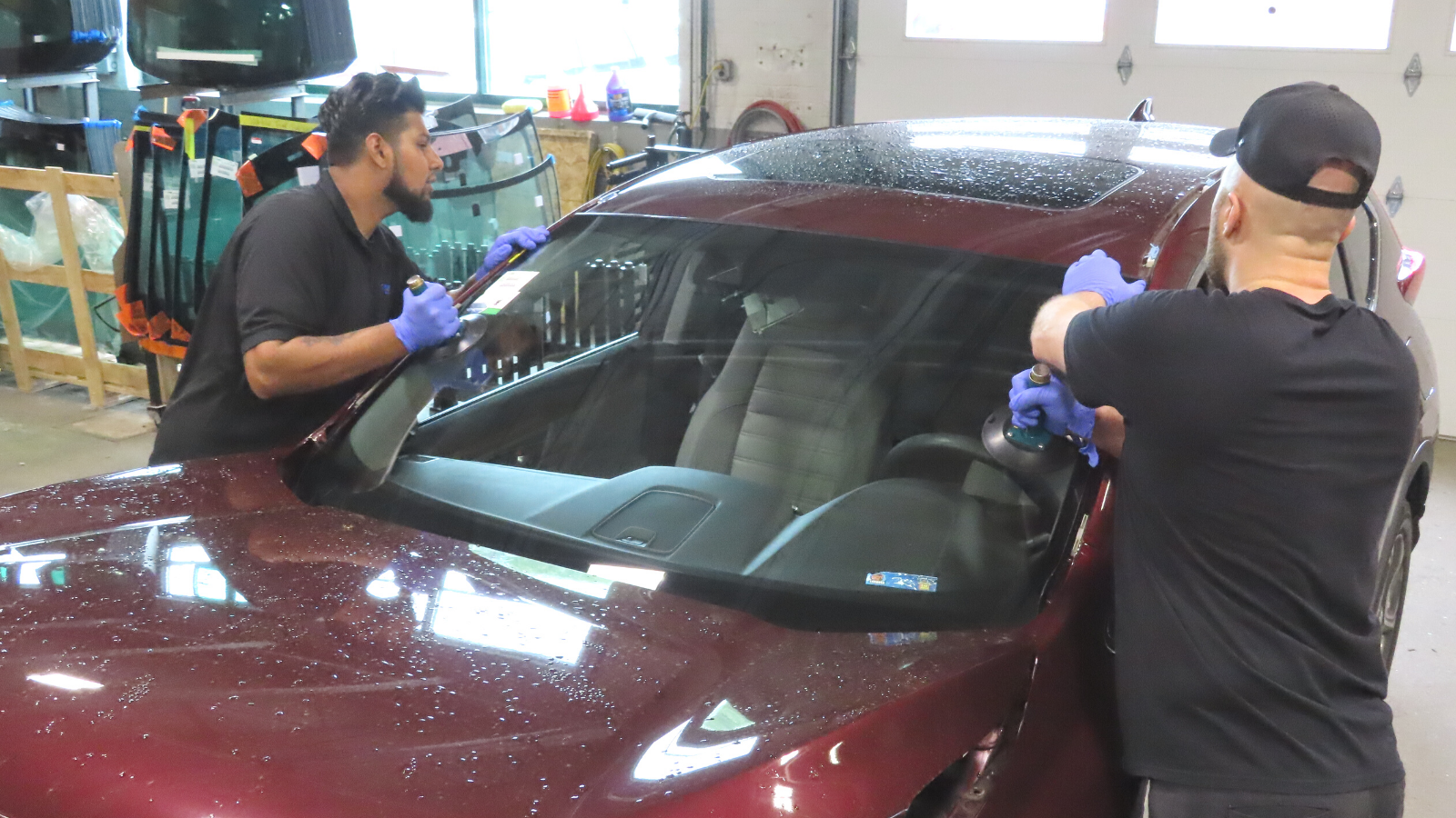 Plymouth Glass windshield repair technicians replacing a windshield in the shop
