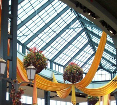 Plymouth Glass Canopies/Glass Roofs/Skylights